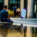 Members of the public cool off in the shade as does a lone pigeon taking refuge bathing in the water feature in the centre of Wellington Place, Leeds.