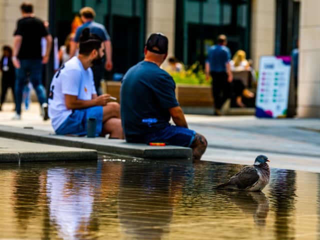 Members of the public cool off in the shade as does a lone pigeon taking refuge bathing in the water feature in the centre of Wellington Place, Leeds.
