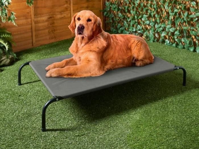 A sun lounger a water fountain and a tipi these are some of the summer products available for your dog