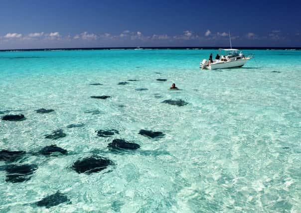 Stingray City.