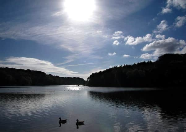 Newmillerdam Country Park.