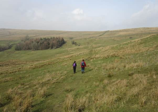 Delightful Dales countryside on the climb up Bluebell Hill.