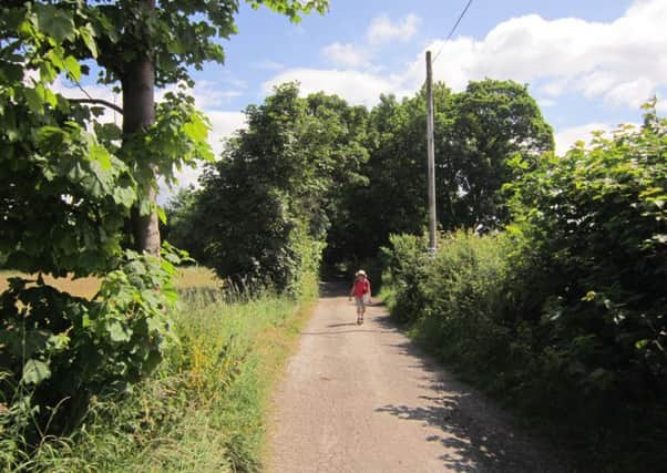 Down the fields towards Woodlands Farm.