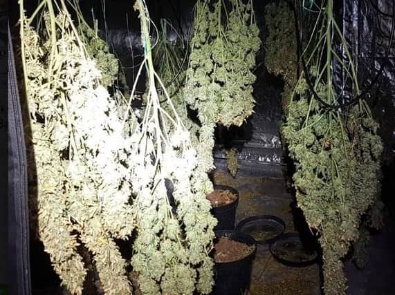 A cannabis factory in Batley Carr.